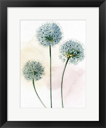 Framed Watercolor Dandelion Print