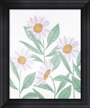Framed Daisies Floral Print