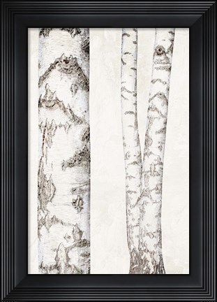 Framed Birches 2 Print