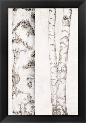 Framed Birches 2 Print