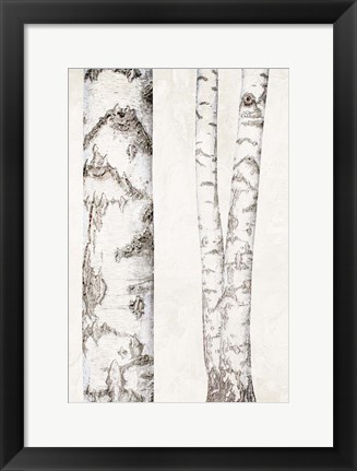 Framed Birches 2 Print