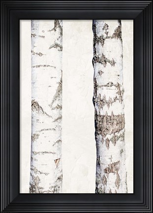 Framed Birches 3 Print