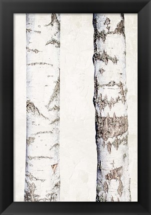 Framed Birches 3 Print