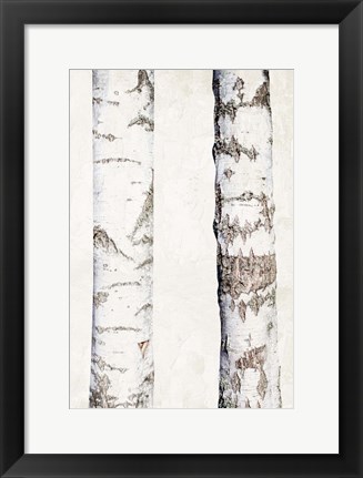 Framed Birches 3 Print