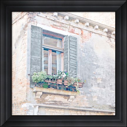 Framed Window BoxWindow Box Print