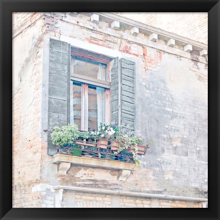 Framed Window BoxWindow Box Print