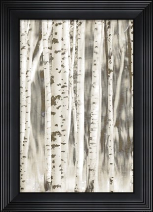 Framed Birches 2 Print