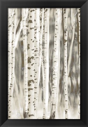 Framed Birches 2 Print