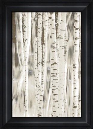Framed Birches 3 Print