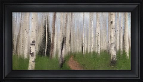 Framed Path through the Aspens Print