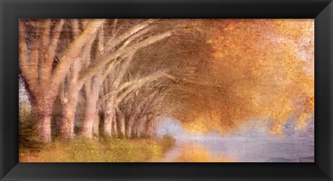 Framed Quiet Autumn Pond Print