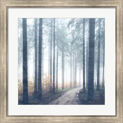 Framed Forest Road Print