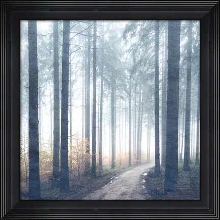 Framed Forest Road Print