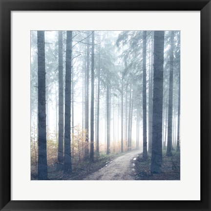 Framed Forest Road Print