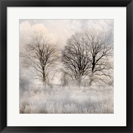 Framed Winter Frost 1 Print