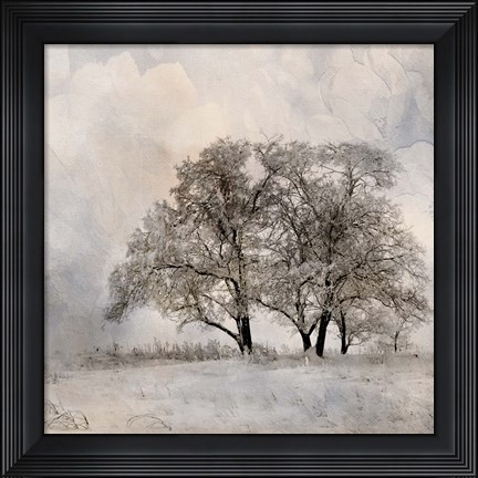 Framed Winter Frost 2 Print