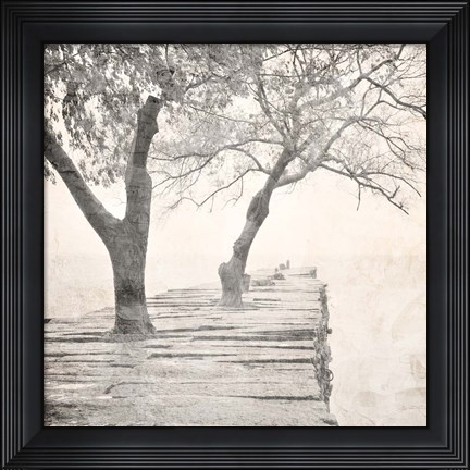 Framed Tree Pier Print