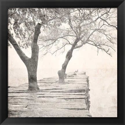 Framed Tree Pier Print