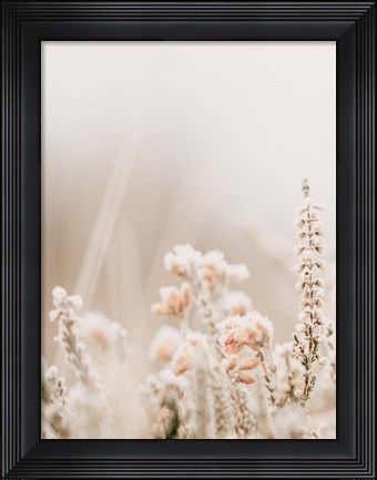 Framed Frost Kiss Print