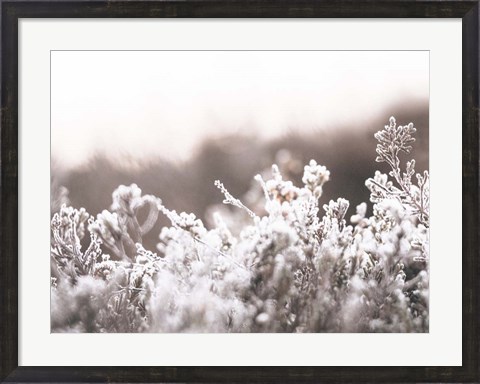Framed Cashmere Frost Print