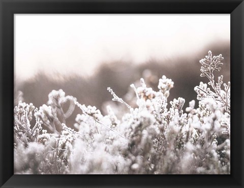 Framed Cashmere Frost Print