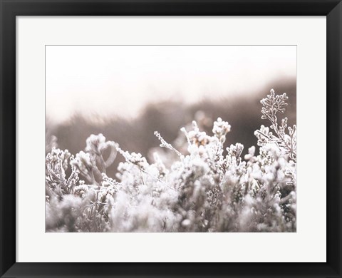 Framed Cashmere Frost Print