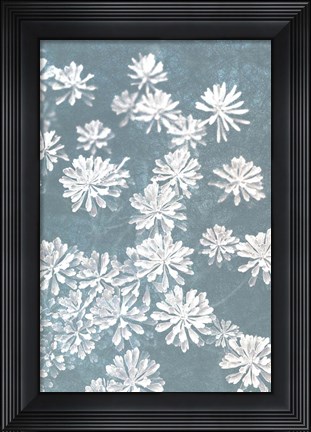 Framed Blooms Falling Print