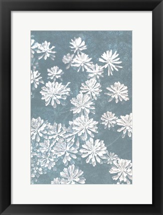 Framed Blooms Falling Print