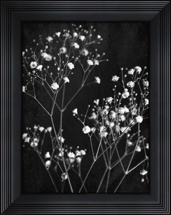 Framed Delicate 1 Print