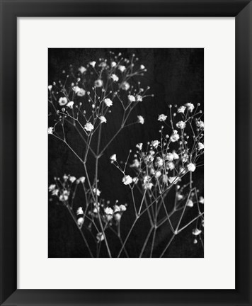 Framed Delicate 1 Print