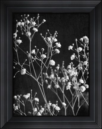 Framed Delicate 2 Print
