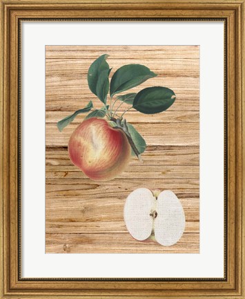 Framed Pressed Fruit 1 Print