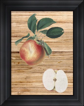Framed Pressed Fruit 1 Print