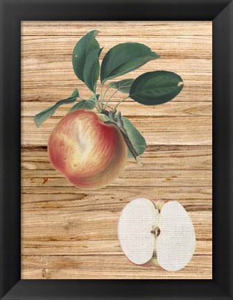 Framed Pressed Fruit 1 Print