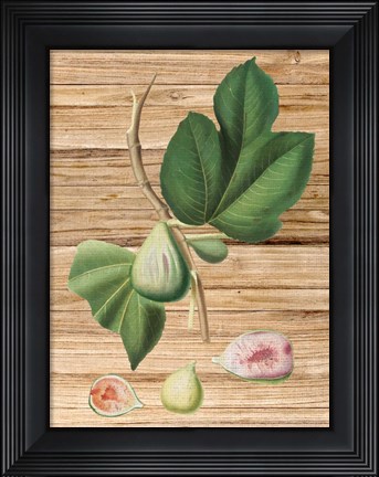 Framed Pressed Fruit 2 Print