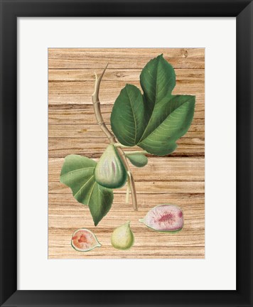 Framed Pressed Fruit 2 Print