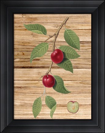 Framed Pressed Fruit 3 Print