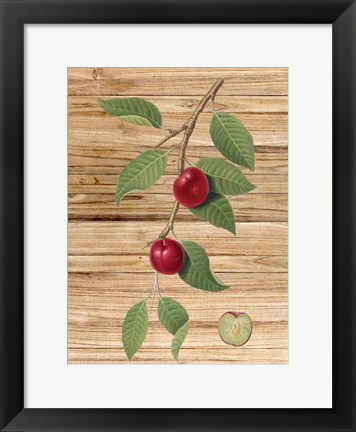 Framed Pressed Fruit 3 Print