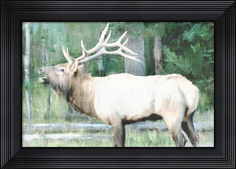 Framed Linen Pressed Elk Print