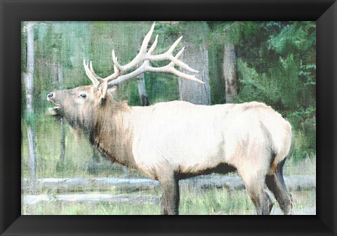 Framed Linen Pressed Elk Print