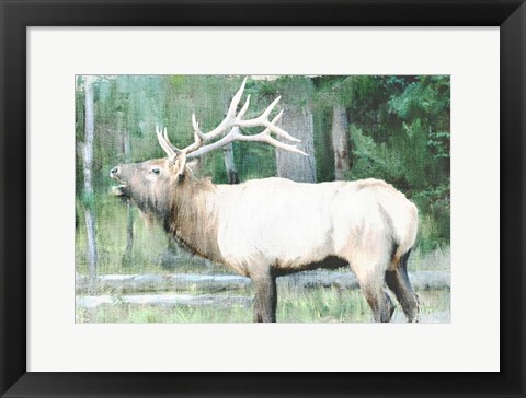 Framed Linen Pressed Elk Print