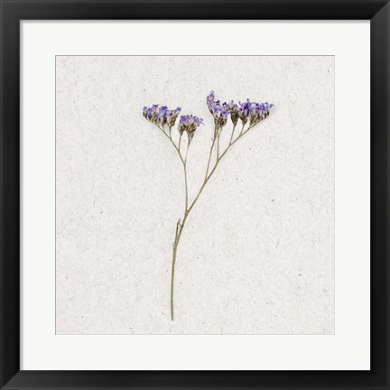 Framed Dainty Purple 1 Print