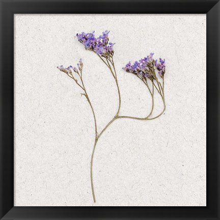 Framed Dainty Purple 2 Print