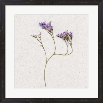 Framed Dainty Purple 2 Print