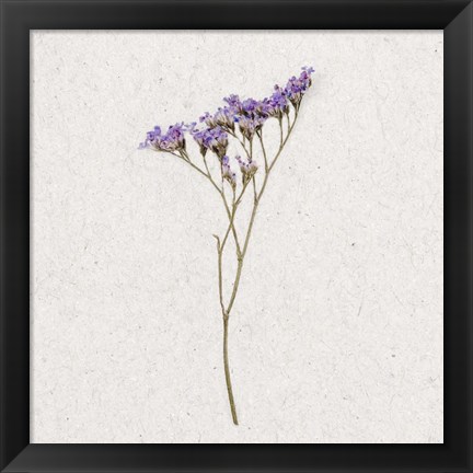 Framed Dainty Purple 3 Print