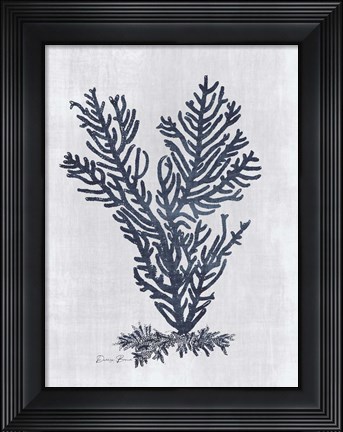 Framed Sea Fan 2 v2 Print