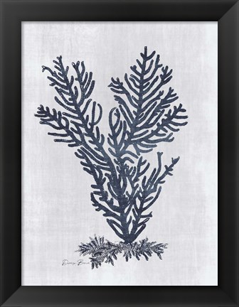 Framed Sea Fan 2 v2 Print