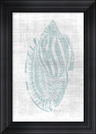 Framed Beautiful Shells 1 Print