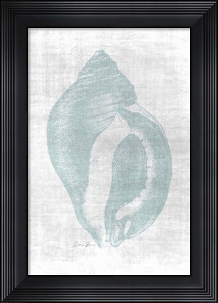 Framed Beautiful Shells 2 Print