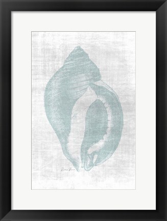 Framed Beautiful Shells 2 Print